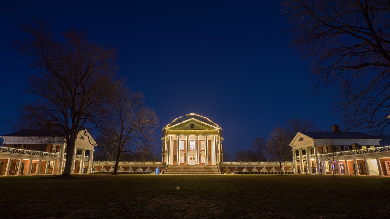 Lawn in the night